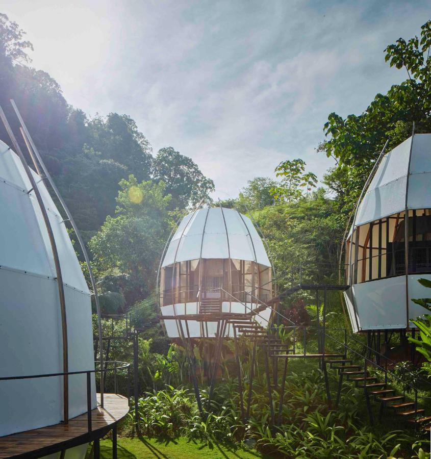 Art Villas Costa Rica, Villas & Glamping Uvita Zewnętrze zdjęcie